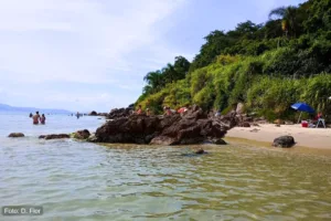 Ponta das Canas - Foto Pedras