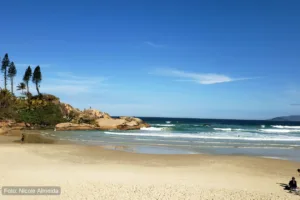 Praia da Joaquina - Pé na Areia