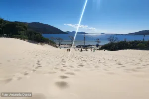 Praia da Joaquina - Vista de cima das Dunas (3)