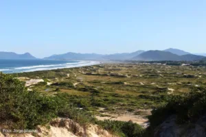 Praia da Joaquina - Vista de cima das Dunas