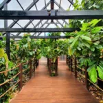 Fábrica de Chocolates Nugali