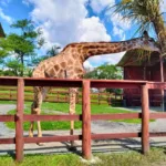 Zoológico de Pomerode