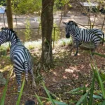 Zoológico de Pomerode