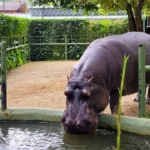 Zoológico de Pomerode