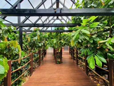 Fábrica de Chocolates Nugali