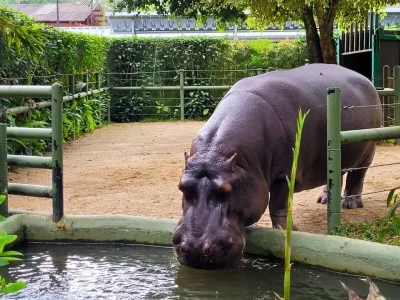 Zoológico de Pomerode