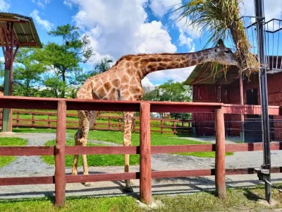 Zoológico de Pomerode